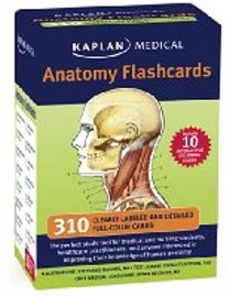 Anatomy Flashcards 