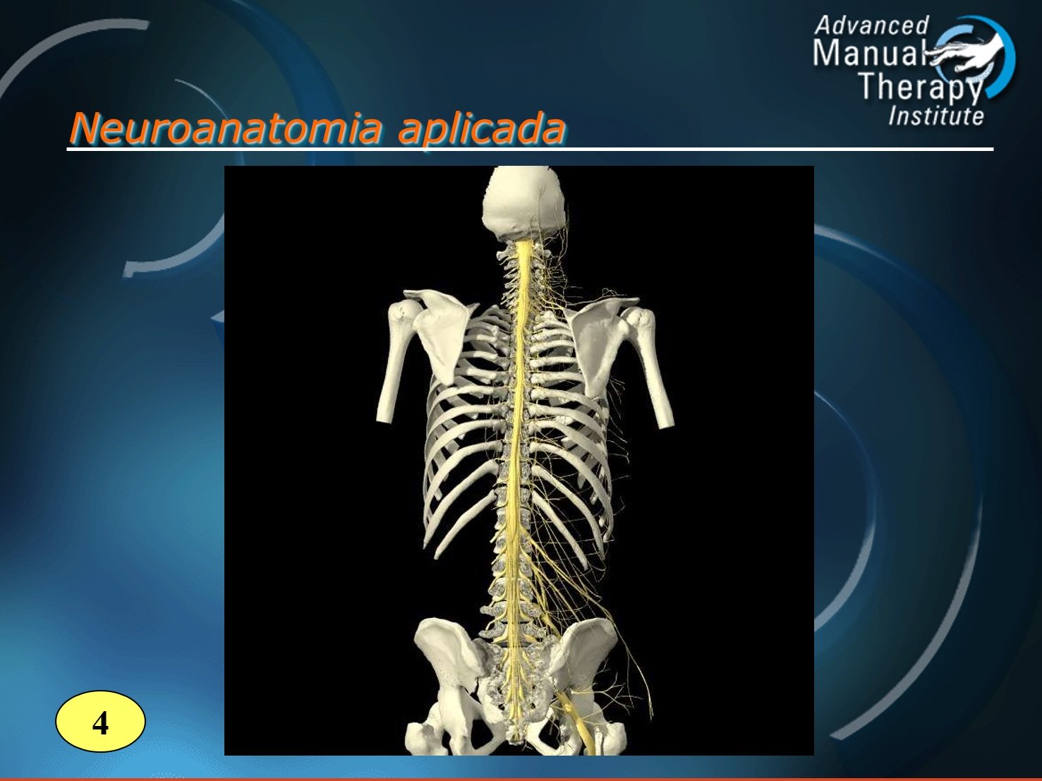 Curso Mobilização Neural (Teórico) - Ministrante do Grupo Terapia Manual